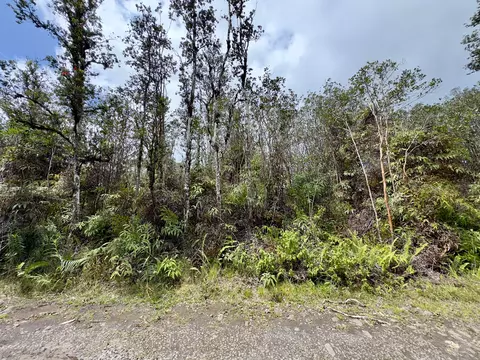 Road 7, Kurtistown, HI 96760
