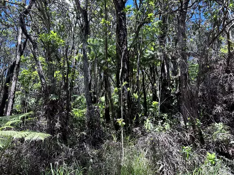 16-1999 Hopue Rd, Mountain View, HI 96771