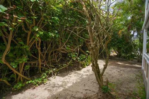 Exterior - 525 Aleka Lp #B8, Kapaa, HI 96746 photo 3 of 9