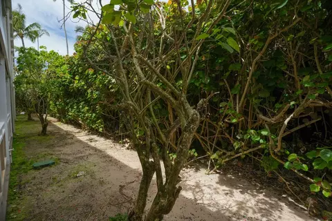 Exterior - 525 Aleka Lp #B8, Kapaa, HI 96746 photo 2 of 9