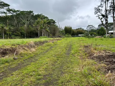 17-4117 Kukui Camp Rd, Mountain View, HI 96771