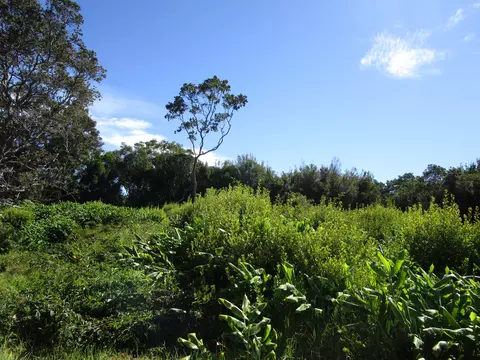 Pukeawe Cir, Hawaiian Natl Park, HI 96718