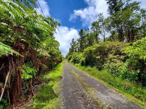 Kopaa St, Mountain View, HI 96771