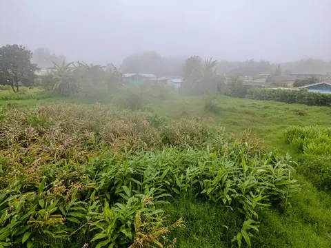 64-5296 Noekolo St, Kamuela, HI 96743