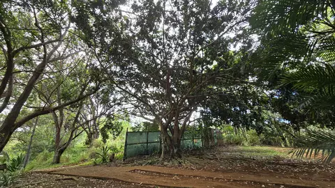 3215 Wawae Rd # -C, Kalaheo, HI 96741