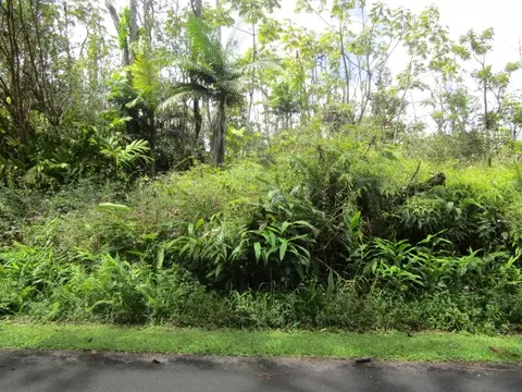 13-3591 Pomaikai St, Pahoa, HI 96778