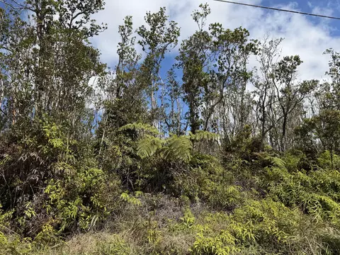 Makoa Rd, Volcano, HI 96785 photo 9