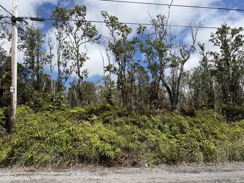 Makoa Rd, Volcano, HI 96785 photo 11
