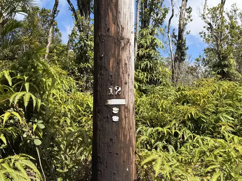 Makoa Rd, Volcano, HI 96785 photo 3