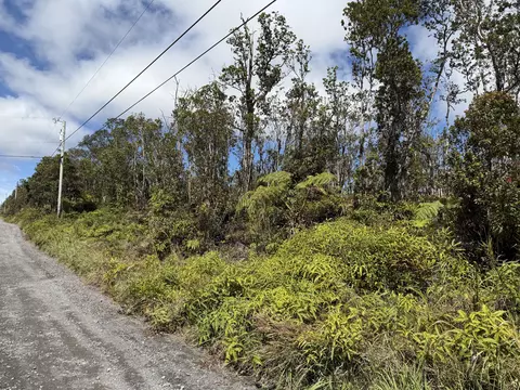 Makoa Rd, Volcano, HI 96785 photo 8