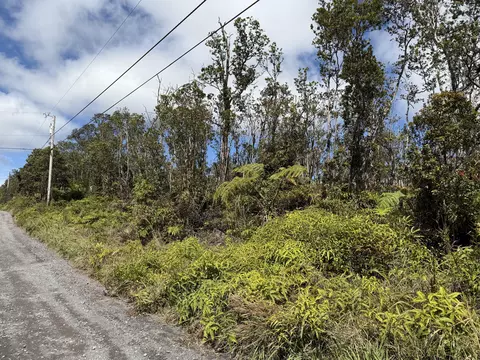 Makoa Rd, Volcano, HI 96785 photo 7