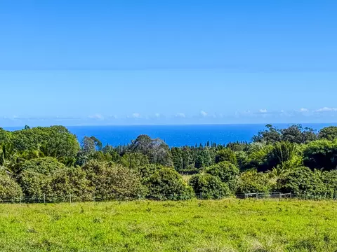 29-613 Chin Chuck Rd, Hakalau, HI 96710