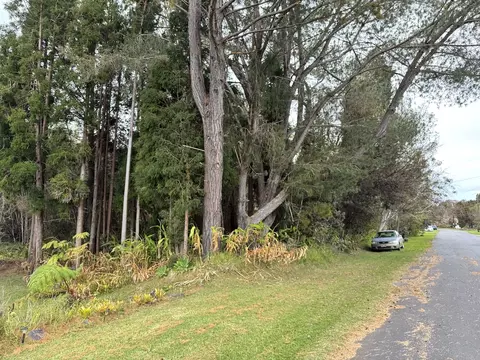 Painiu Lp, Volcano, HI 96785