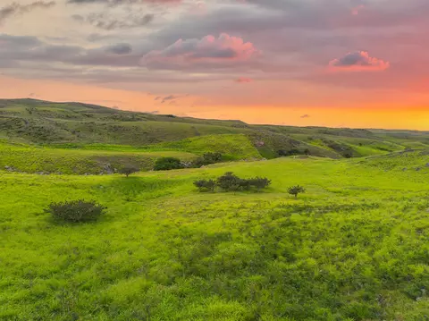 Undisclosed, Kamuela, HI 96743