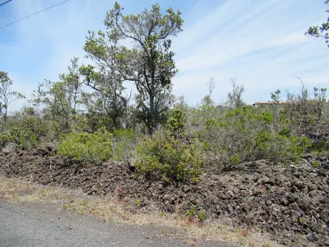 Plumeria Ln, Ocean View, HI 96737