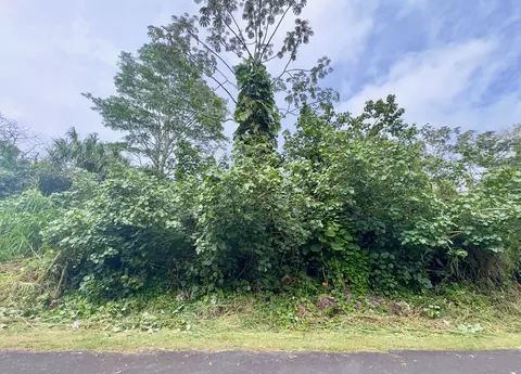Nenue St, Pahoa, HI 96778