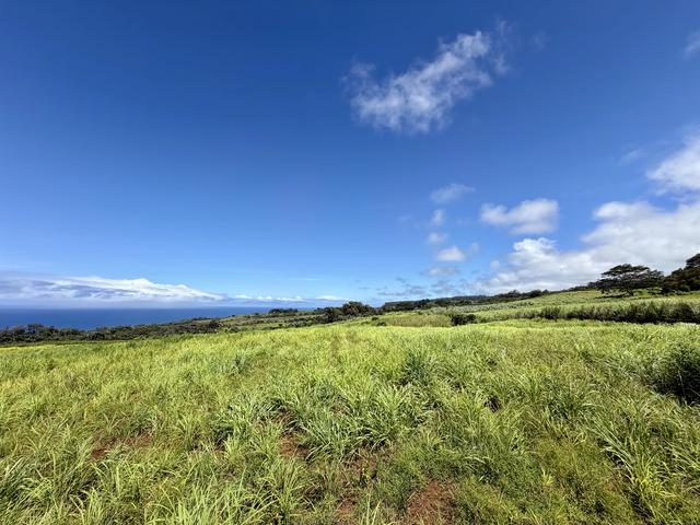 32-195 Piha Kahuku Rd, Papaaloa, HI 96780