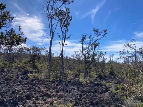 Anuenue Dr, Ocean View, HI 96737