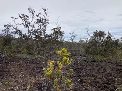 Anuenue Dr, Ocean View, HI 96737