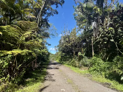 17-1070 Nailima Rd, Mountain View, HI 96771