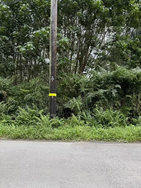 Pahoa, Pahoa, HI 96778