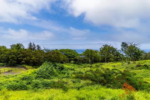 Undisclosed, Honokaa, HI 96727 photo 19