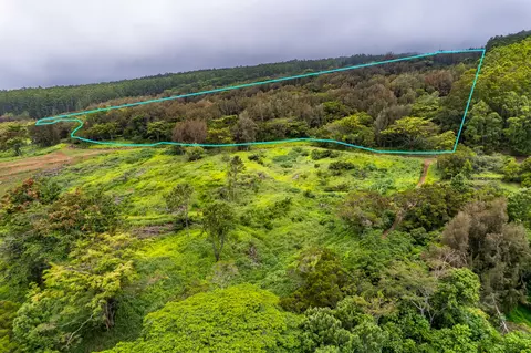 Undisclosed, Honokaa, HI 96727 photo 20
