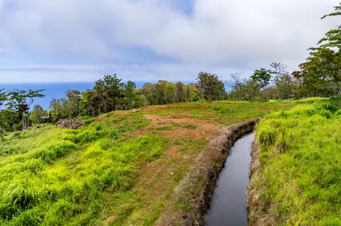 Undisclosed, Honokaa, HI 96727