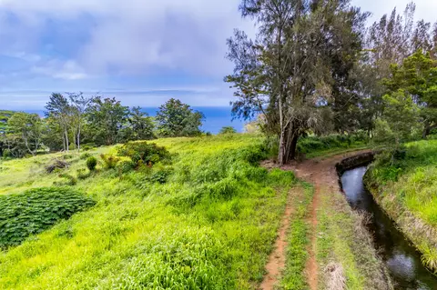 Undisclosed, Honokaa, HI 96727 photo 18