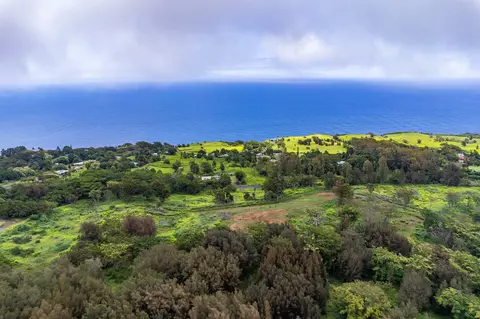 Undisclosed, Honokaa, HI 96727 photo 15