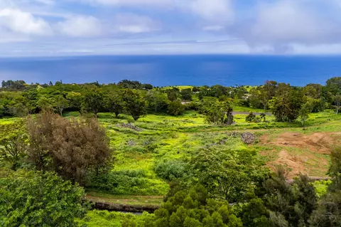 Undisclosed, Honokaa, HI 96727 photo 17