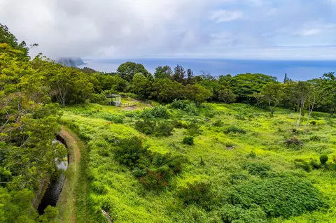 Undisclosed, Honokaa, HI 96727 photo 3