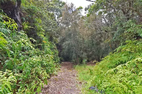 Undisclosed, Ookala, HI 96774 photo 25