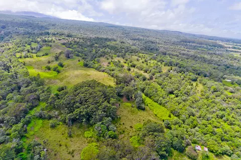 Undisclosed, Ookala, HI 96774 photo 21