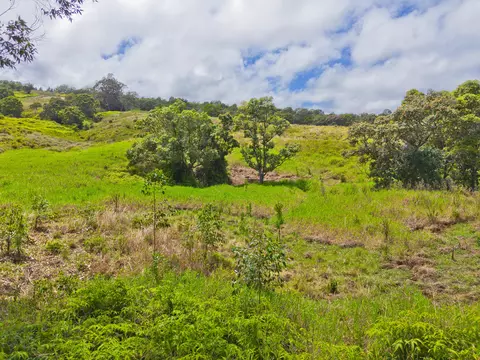Undisclosed, Ookala, HI 96774 photo 10