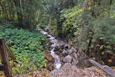 Undisclosed, Ookala, HI 96774 photo 28