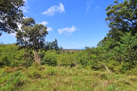 Undisclosed, Ookala, HI 96774 photo 23
