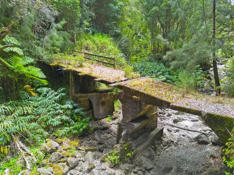 Undisclosed, Ookala, HI 96774 photo 6