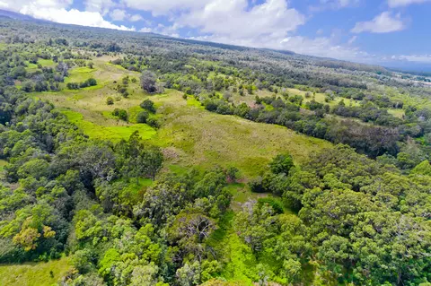 Undisclosed, Ookala, HI 96774 photo 20