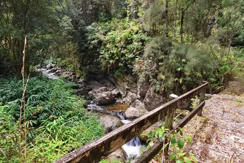 Undisclosed, Ookala, HI 96774 photo 27
