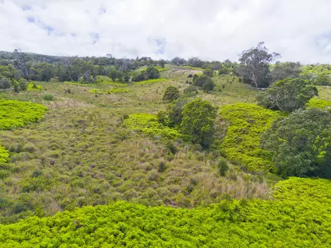 Undisclosed, Ookala, HI 96774 photo 12