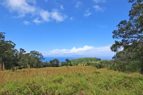 Undisclosed, Ookala, HI 96774 photo 24