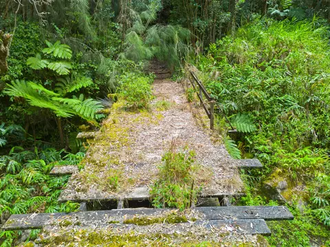 Undisclosed, Ookala, HI 96774 photo 7