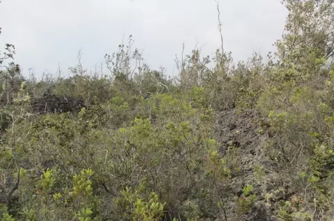 Undisclosed, Ocean View, HI 96737