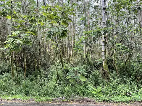 Makamae St, Pahoa, HI 96778