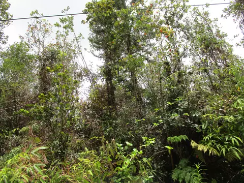 Pilo St, Mountain View, HI 96771