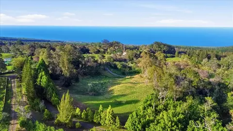 43-729 Antone De Luz Rd, Paauilo, HI 96776
