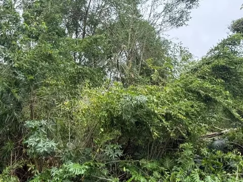 15-716 Puni Mauka Loop, Pahoa, HI 96778