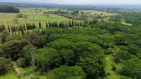 Enos Rd, Mountain View, HI 96771