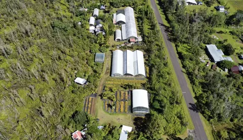 15-1300 Auina St, Pahoa, HI 96778